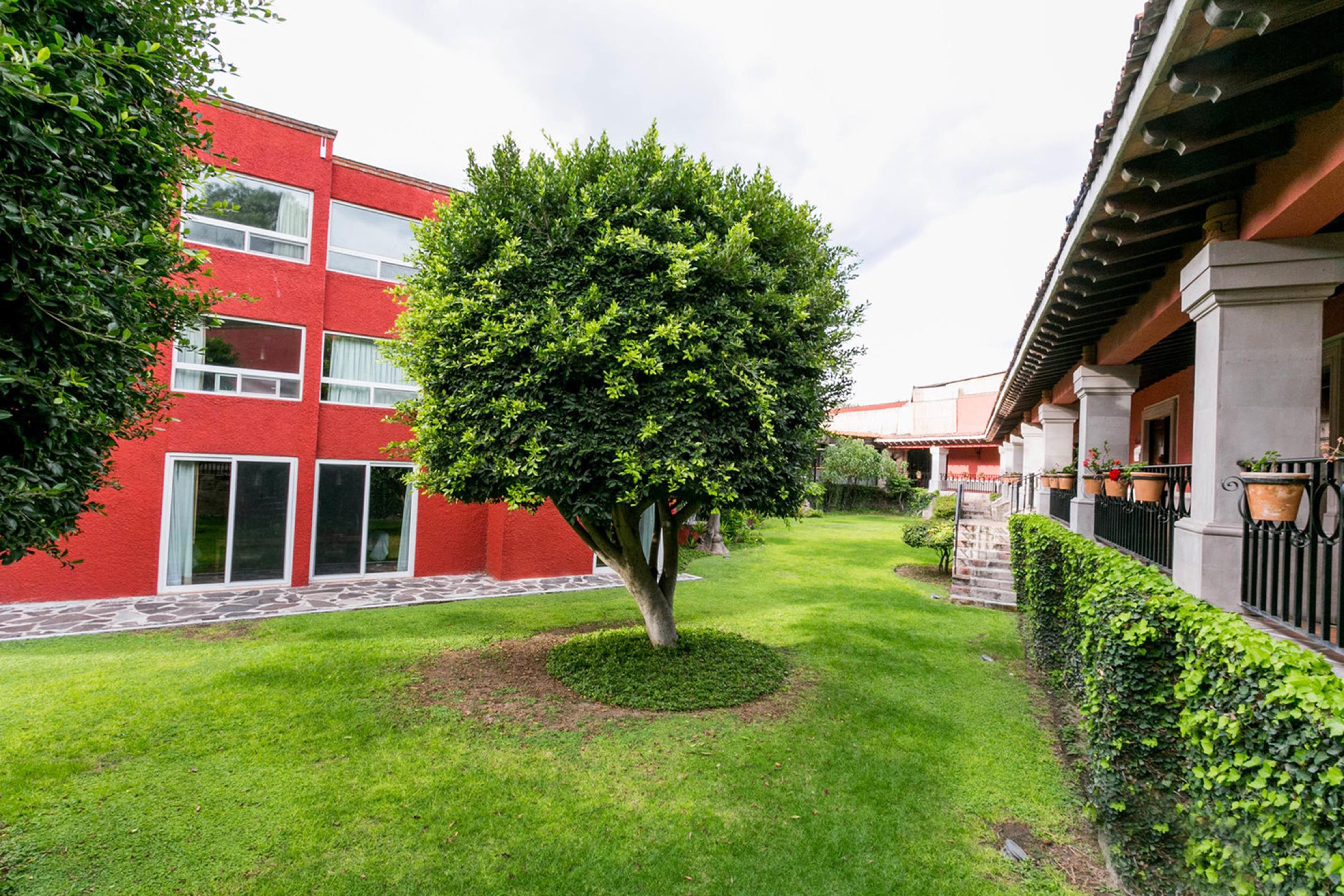 Real De Minas Сан-Міґель-де-Альєнде Екстер'єр фото Campus de la Universidad Autónoma de La Laguna