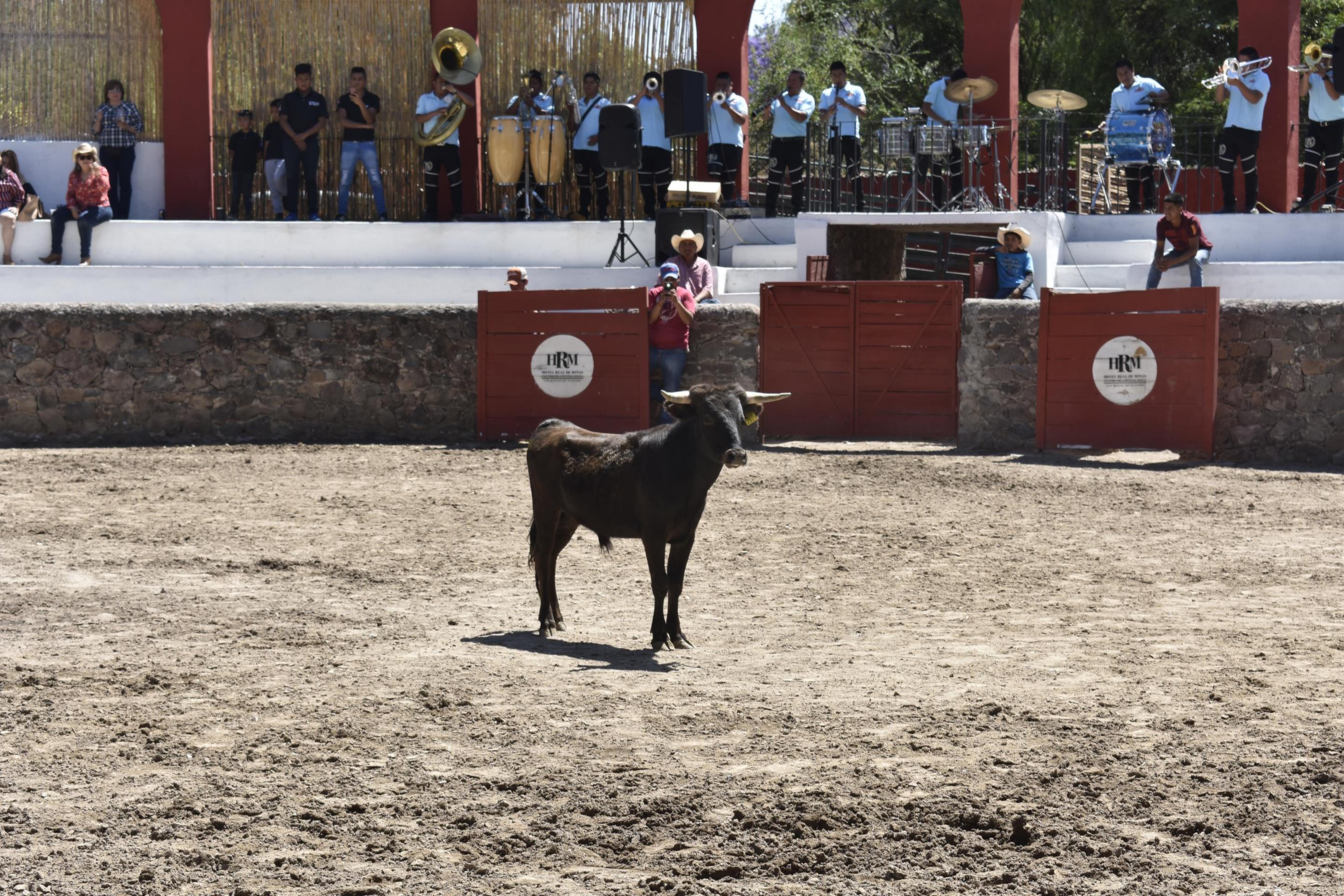 Real De Minas Сан-Міґель-де-Альєнде Екстер'єр фото A bull in the bullring