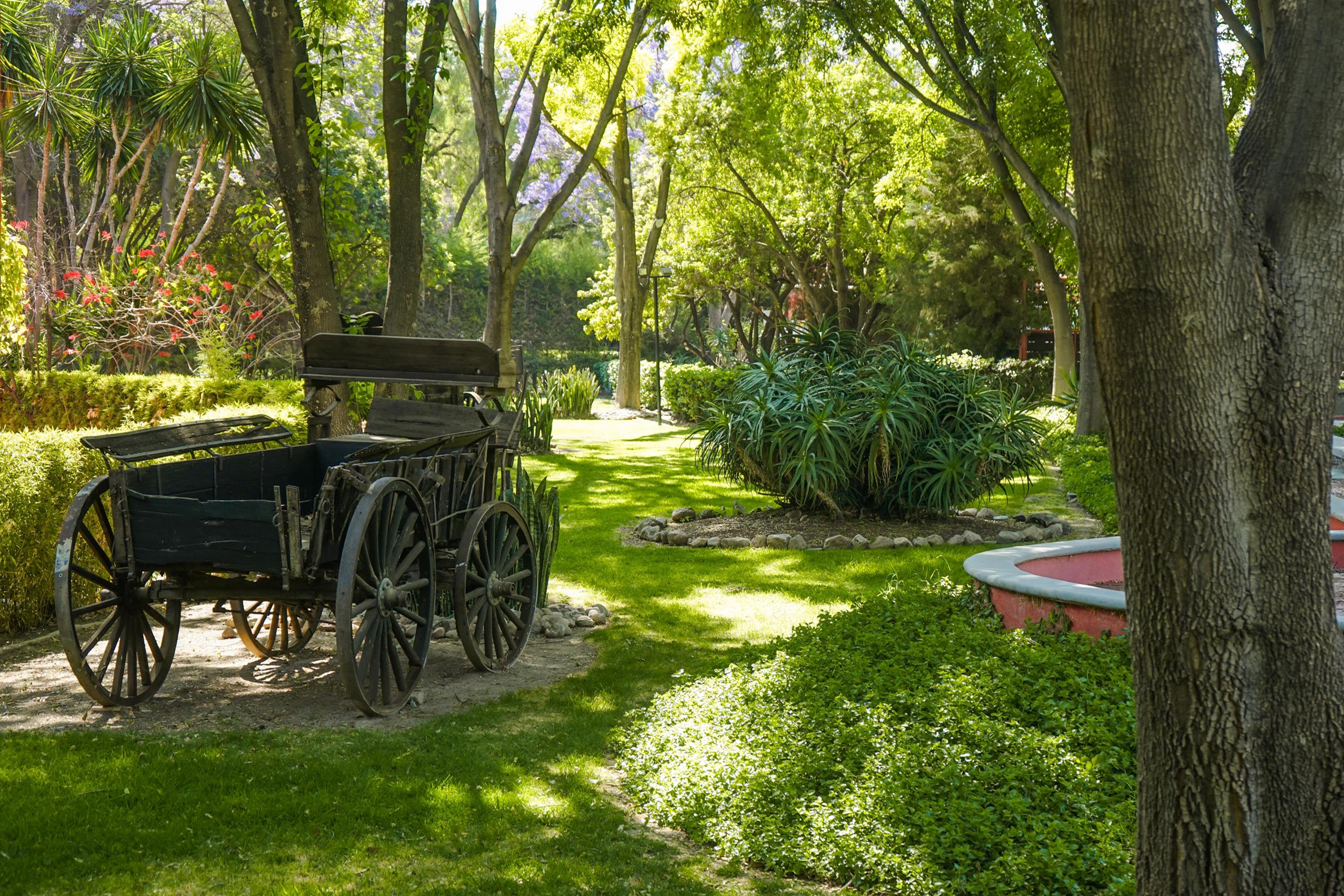 Real De Minas Сан-Міґель-де-Альєнде Екстер'єр фото The gardens of the museum