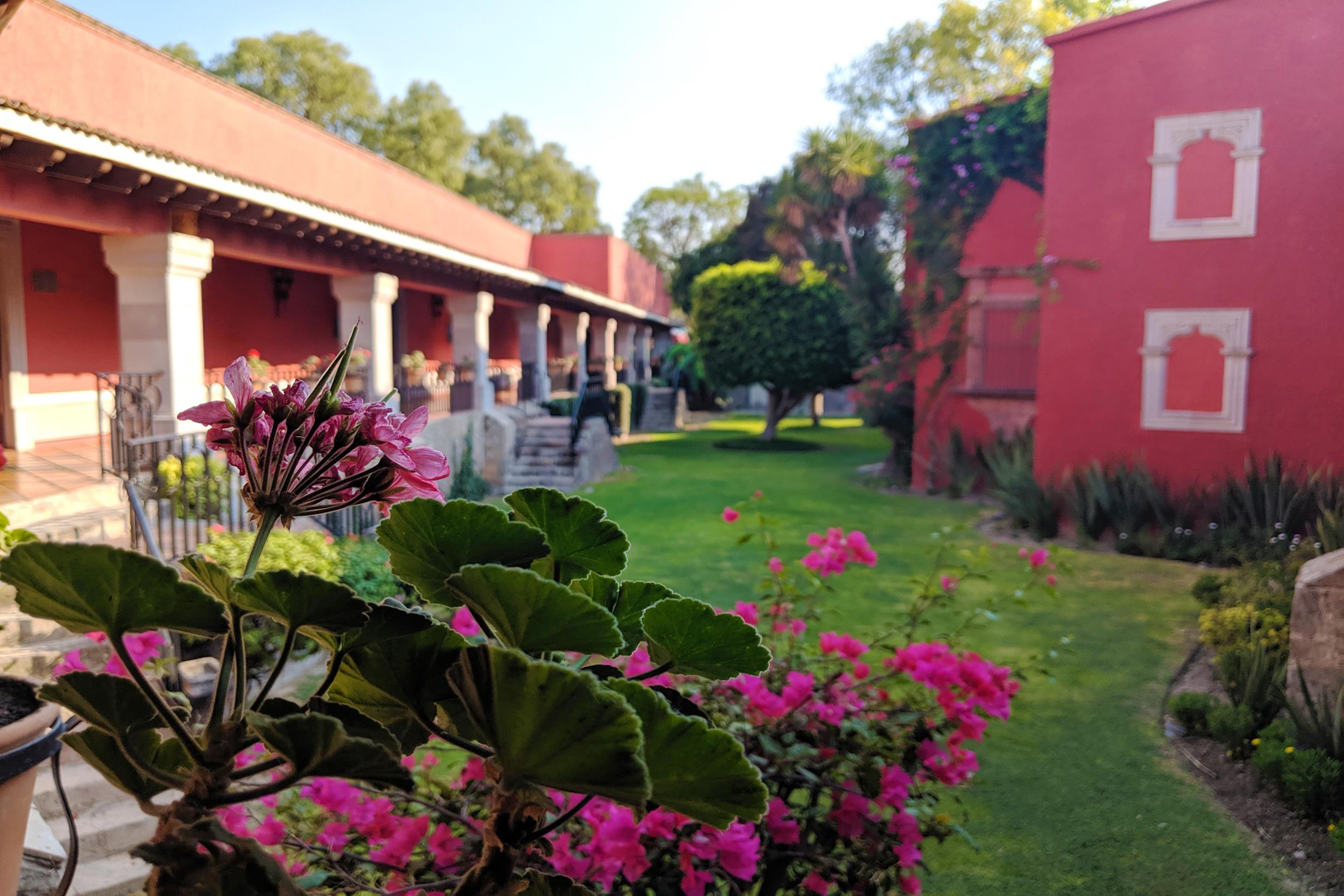 Real De Minas Сан-Міґель-де-Альєнде Екстер'єр фото Hacienda San José de San Miguel